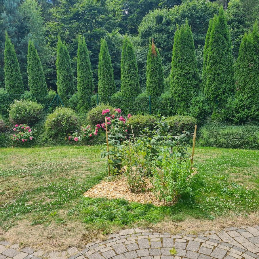 Ferienwohnung Buchberg Neuenburg  Bagian luar foto